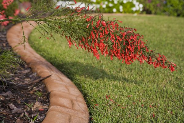 Brick Edging in Fernandina Beach