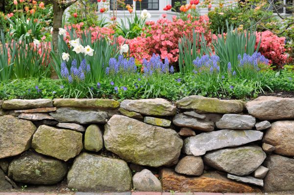 Stone Wall Hardscaping in Fernandina Beach